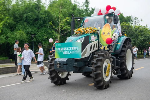 开着拖拉机的人 有什么寓意吗 请阐述一下个人观点