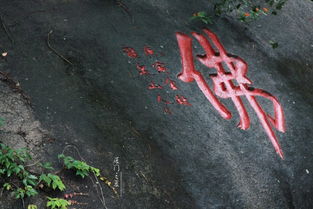 毕业季 厦雨天,眷恋相伴的时光