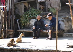 春节到,给漂一族父母的几点理财建议 