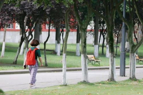 雨后跑步唯美句子