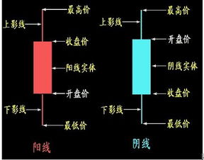 我刚高中毕业，想学学炒股，但自己对股票一无所知，请问该怎么起步？