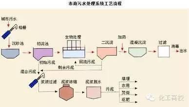 正宗陈皮的制作工艺流程图片（陈皮的原料及制作工艺） 第1张