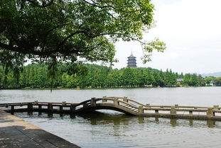 西湖美景,三月天呐 春雨如酒,柳如烟呐