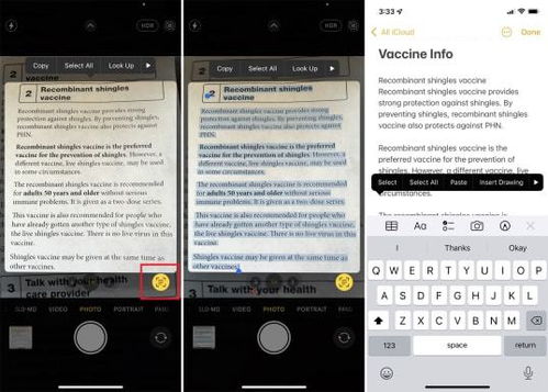 从照片复制和粘贴信息 如何在 iOS 15 中使用 Apple 的实时文本