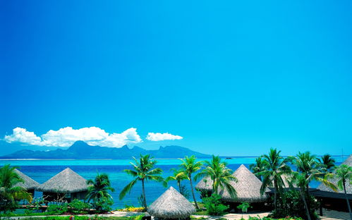 马尔代夫岛旅游度假，享受天堂般的自然风光