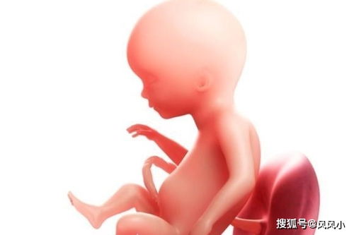 原创孕妈睡觉时，胎儿在“忙”什么呢？孕妈看完后心都“萌化”了！