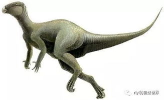 有关恐龙的知识小科普第四弹 恐龙种类细分