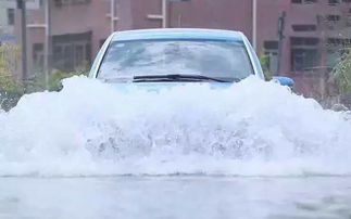 暴雨天行车 新能源车和汽油车涉水能力谁更强 提示 任何车型都不要随意蹚水 过水时最好关闭启停功能