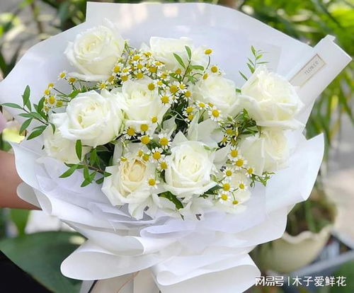 白玫瑰适合送什么人 白玫瑰送人一般送几朵