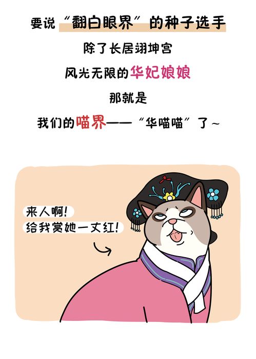 猫咪翻白眼你以为它是逗比 辟谣 别因为搞笑耽误了治疗,它是病