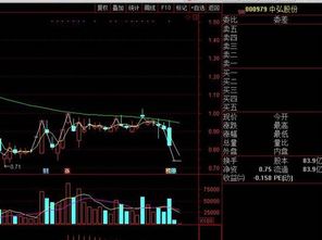 中弘股份为什么停牌 中弘股份停牌原因