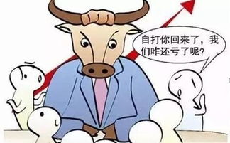 为什么中国牛市散户亏损更多