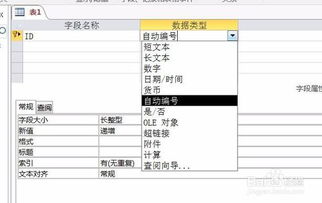 access各种数据类型一般对应哪些数据