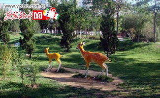 沧州通翔杂技园小鹿雕塑饱受摧残
