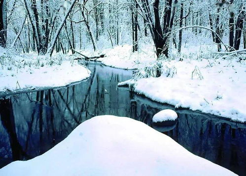 拍摄雪景的10个思路