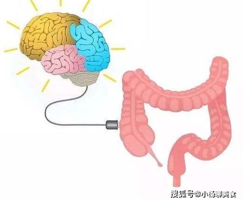 拉肚子反反复复查不出原因,怎样才能除根 早看早知早受益