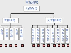 动物分类有哪几种 搜狗图片搜索