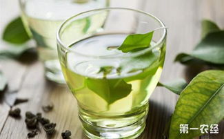 绿茶需要洗茶吗 冲泡绿茶的诀窍