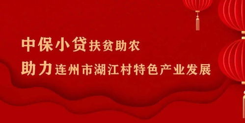 广东省中保小额贷款股份有限公司，在网上可以查的出来，给我发的合同