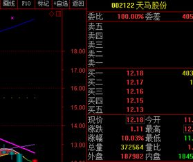 天马股份股票为什么停牌