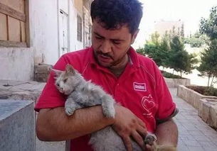 为照顾流浪猫,叙利亚男子放弃逃离战乱城市...