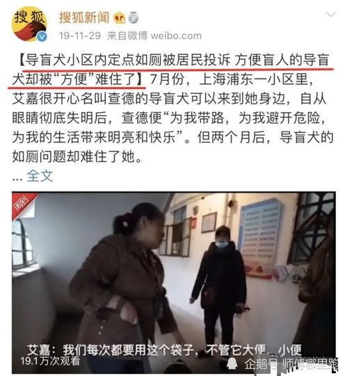 导盲犬被拒乘地铁 被赶到小区外面排尿,它们什么时候才能不被歧视