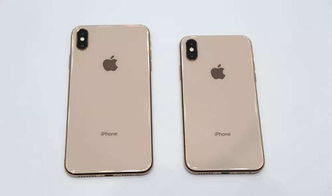 一个老果粉自述 选iPhone XS不选iPhone XR