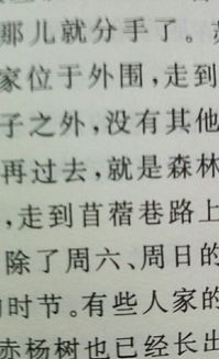 楷字五行属什么属性木