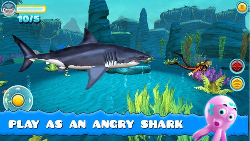大鲨鱼进食手机版下载 大鲨鱼进食最新版下载v1.1 安卓版 2265游戏网 