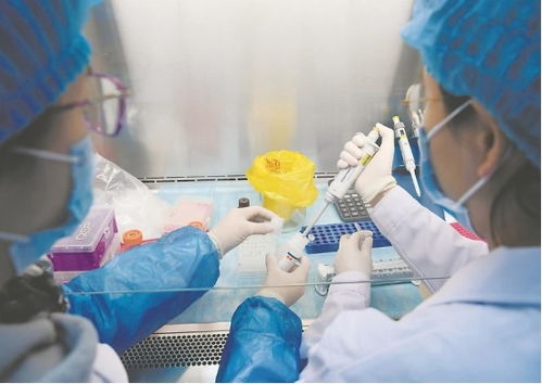 特殊时期,武汉大学传来一个好消息,已取得冠状病毒研究新进展
