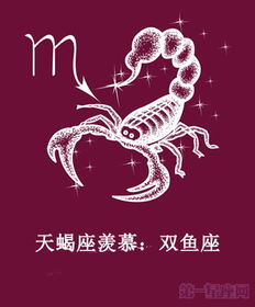 天蝎座会羡慕哪一个星座 