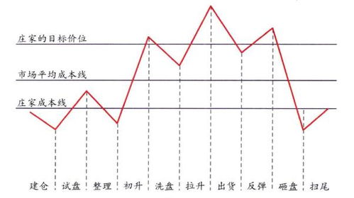 怎样在股市中价值发现