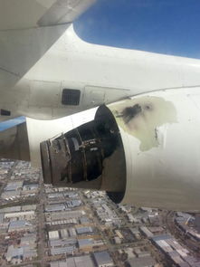 澳一架飞机起火安全降落 93名乘客无人伤亡 