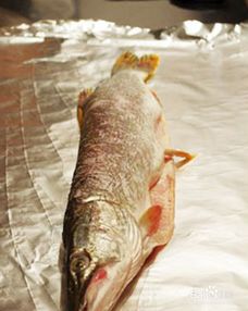 白斑狗鱼如何做好吃 