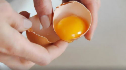 为什么说高血压患者不能吃鸡蛋 专家给出的答案,让人难以接受 