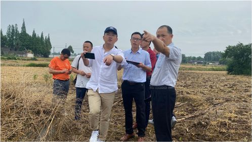 万亩田源水朝大龙,王君植风水大师航拍数百亿富翁祖坟风水,平原风水宝地力量惊人 