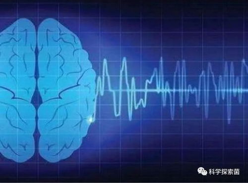 人濒临死亡时,脑子里在想什么 科学家通过脑电波揭示部分真相