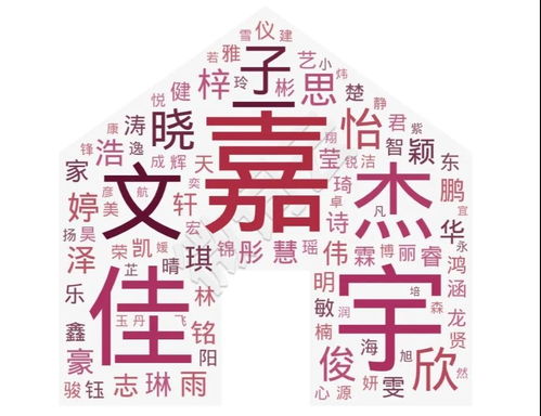 深圳大学新生的名字都有哪些秘密 