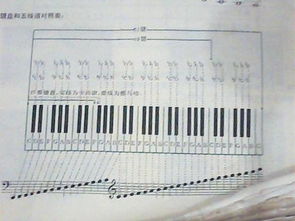 学习电子琴(怎么学电子琴)