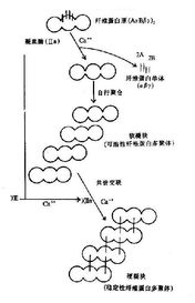 怀孕38周血浆纤维蛋白原定增加要紧吗