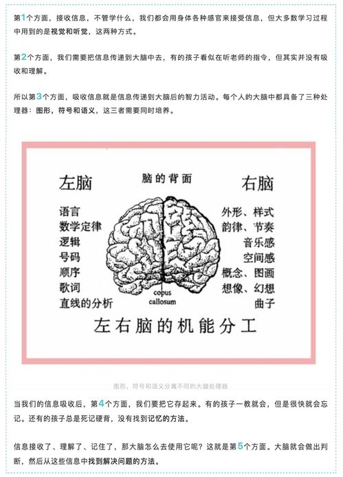 孩子的学习到底怎么了 最有价值的知识是方法