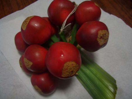 君子兰种子怎么算成熟,君子兰种子绿变红要多长时间？