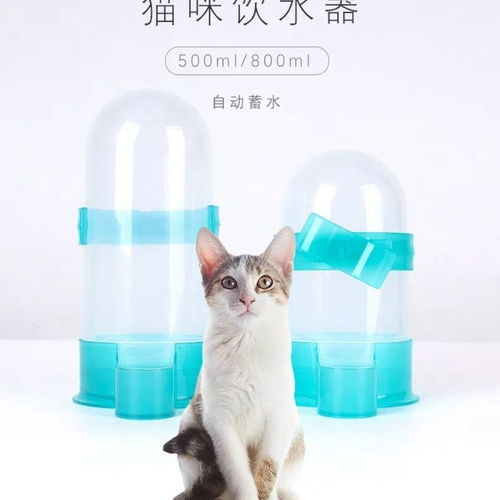 猫咪饮水器猫喝水神器挂失喂水器猫用自动饮水器宠物喂水喝水器