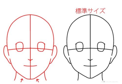 动漫人物脸型比例怎么画 有哪些技巧