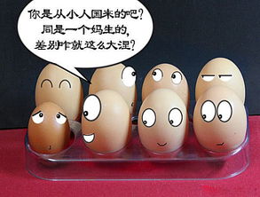 关于鸡蛋搞笑的诗句