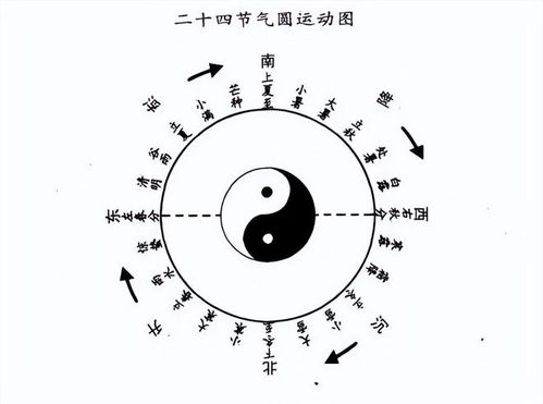 2023年春季运势把握 生肖龙避免 冲动 ,专注一件事即可