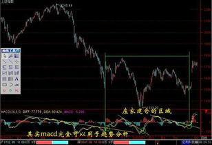 盘整时什么指标好用？股市有明显趋势时什么指标好用？请专业人士指点。