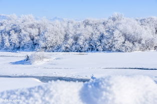 关于昭苏的雪的诗句