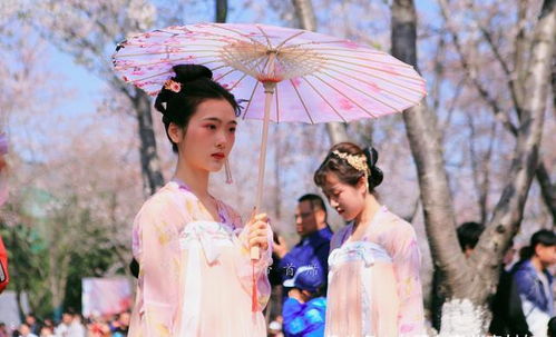 国人赏樱何必穿和服去日本,在扬州穿汉服看快闪,网友 惊艳超值