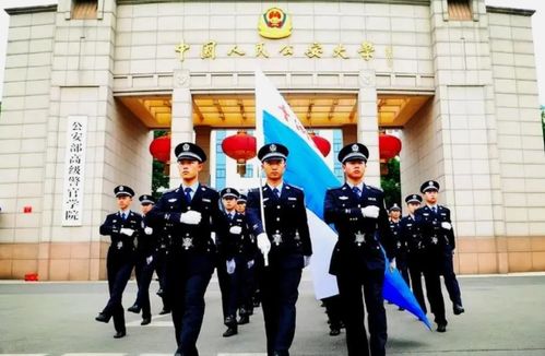 学生在警校学习四年,即将上岸却惨遭淘汰,都怪哥哥 拖后腿